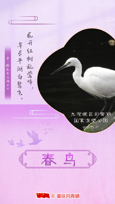 一起赏那些藏在诗词里的重庆春景