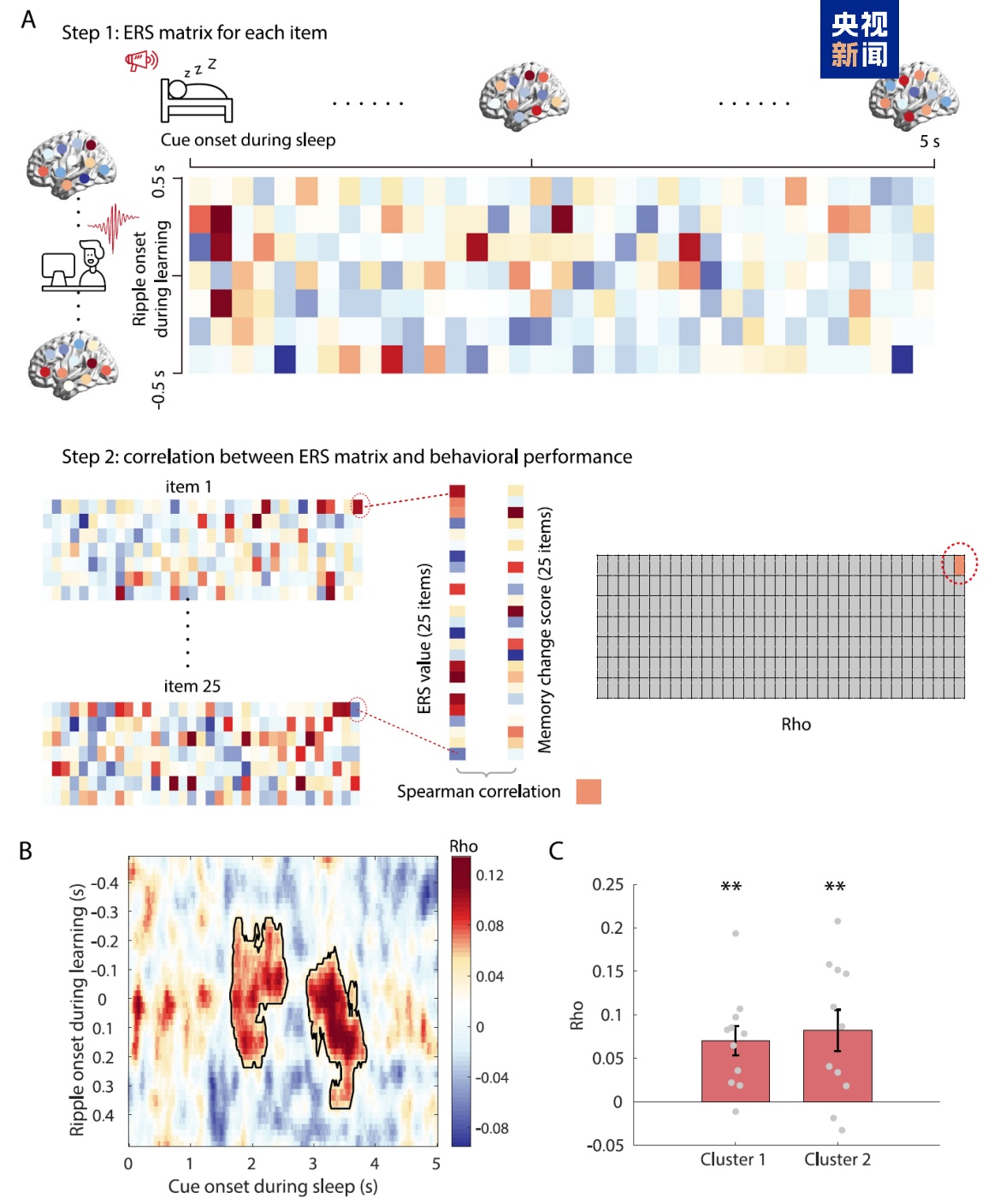 睡着时记忆如何巩固？我国科学家发现“回声”效应