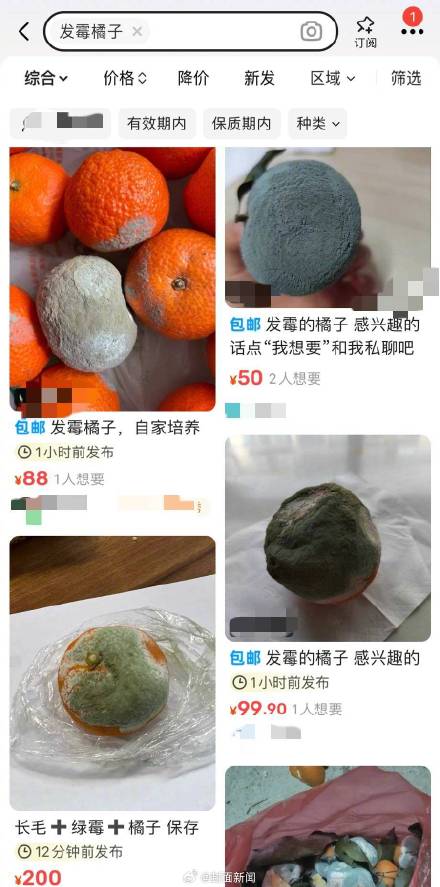 医生称发霉橘子或致真菌感染 出现呼吸道症状