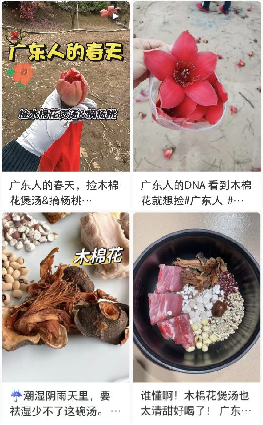 @深圳人,这个东西千万别捡了! @深圳人,这个东西千万别捡了!