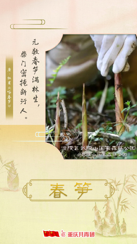 一起赏那些藏在诗词里的重庆春景