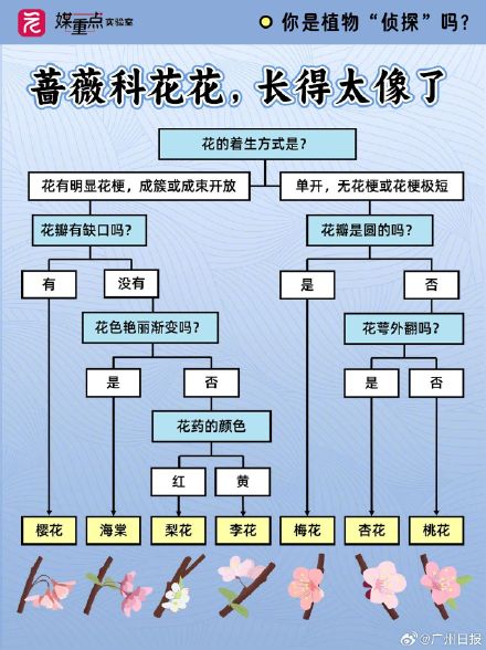 码住！一组图教你区分“撞脸”花花