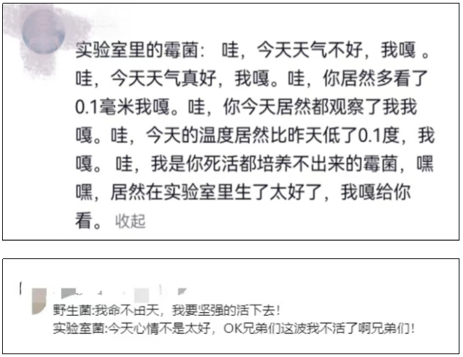 突然火了！有人卖500元一个，网友：家里刚扔了一箱