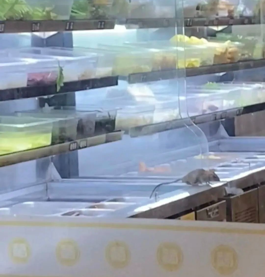 刚刚,杨国福麻辣烫,道歉了! 刚刚,杨国福麻辣烫,道歉了!