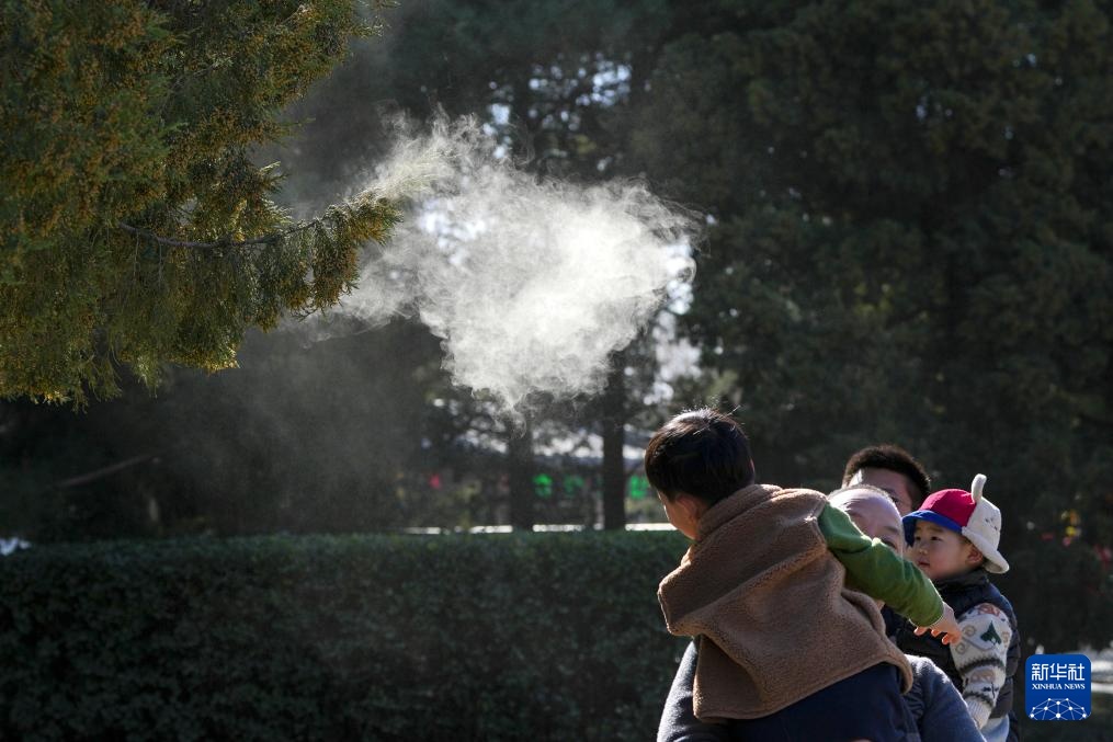 涕泪横流，都是柏树惹的“祸”？
