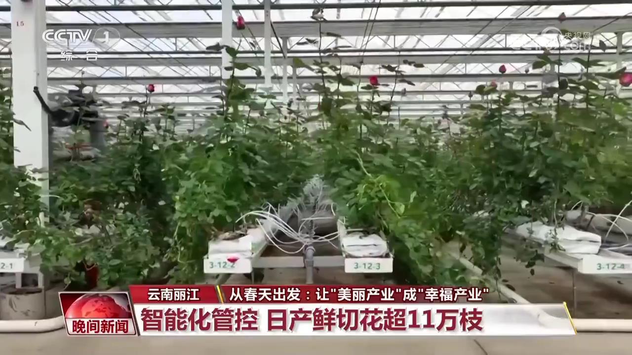 从春天出发:让“美丽产业”成“幸福产业” 从春天出发:让“美丽产业”成“幸福产业”