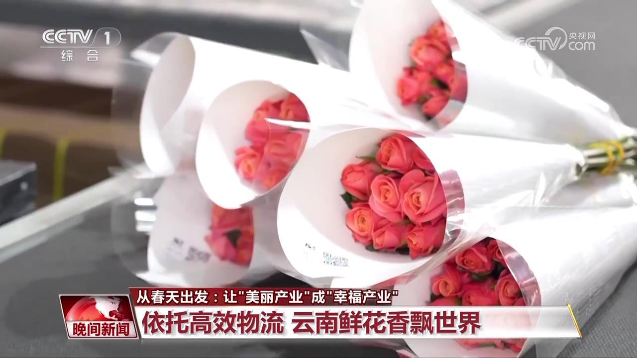 从春天出发:让“美丽产业”成“幸福产业” 从春天出发:让“美丽产业”成“幸福产业”