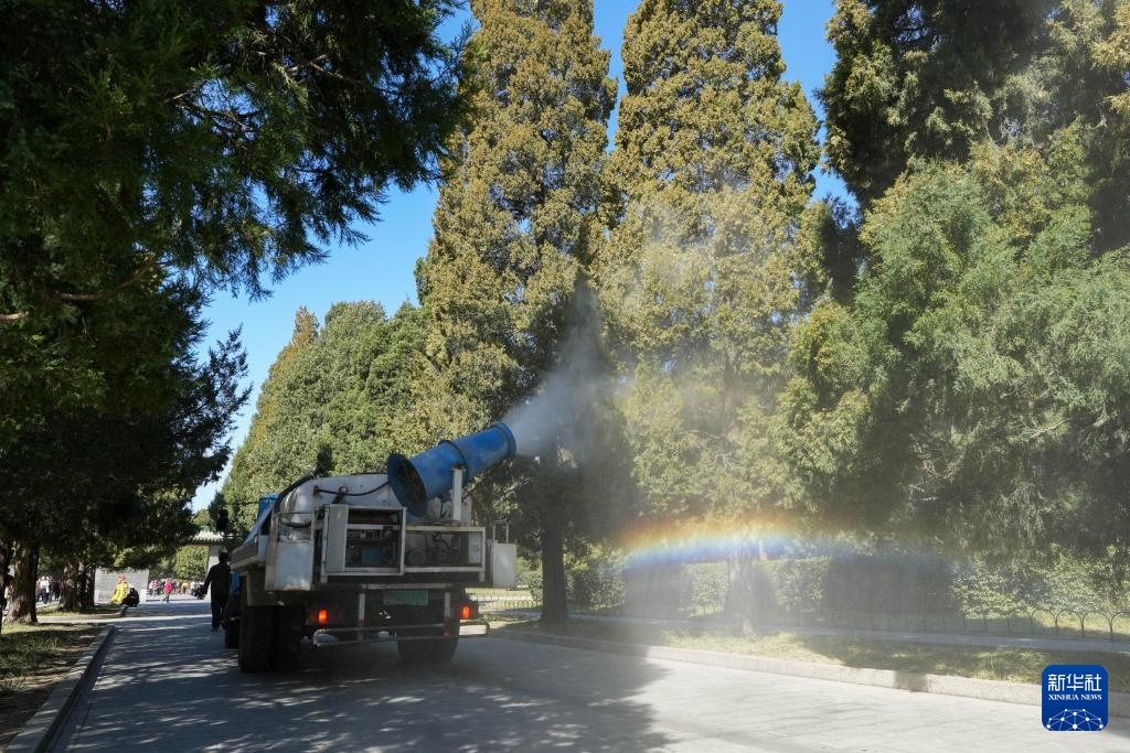 涕泪横流，都是柏树惹的“祸”？