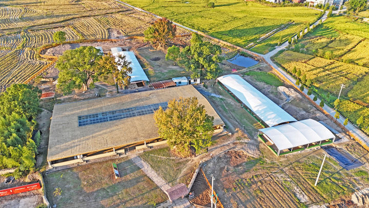 文明探源|下汤遗址:穿越新石器时代的人间烟火 文明探源|下汤遗址:穿越新石器时代的人间烟火