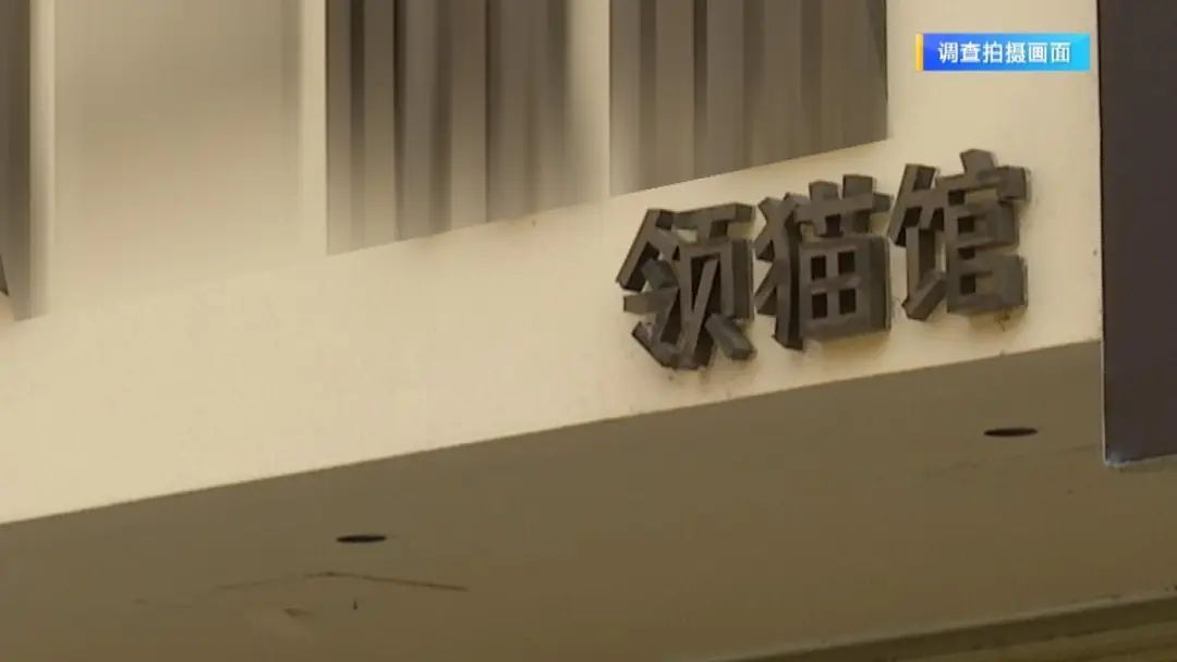 “免费领养宠物”真的不花钱吗？小心这些“坑”！律师提醒→