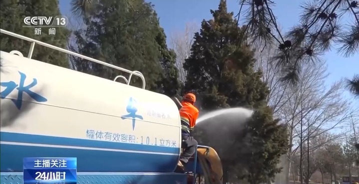 过敏星人有救了！解决天坛公园柏树“冒烟”的法子找到了
