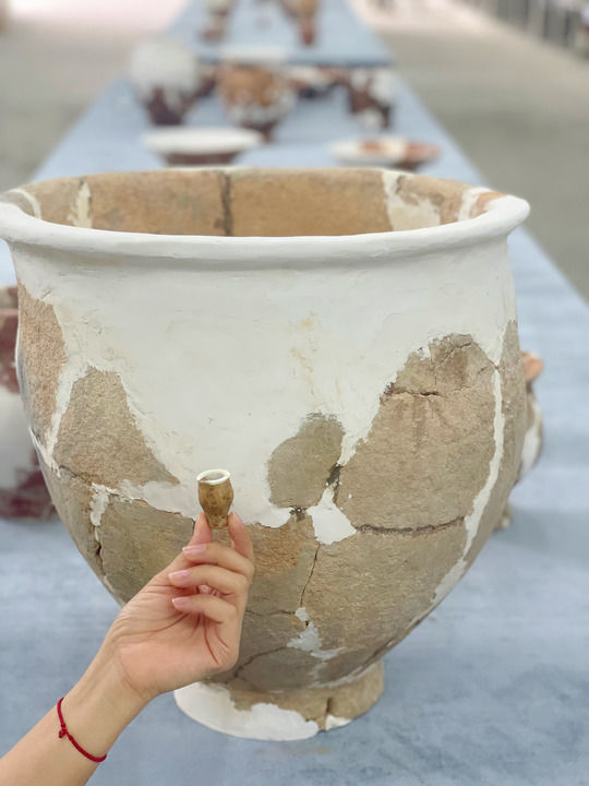 文明探源|下汤遗址:穿越新石器时代的人间烟火 文明探源|下汤遗址:穿越新石器时代的人间烟火