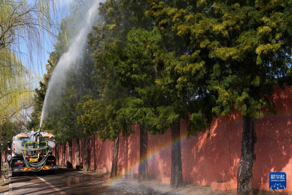 涕泪横流，都是柏树惹的“祸”？