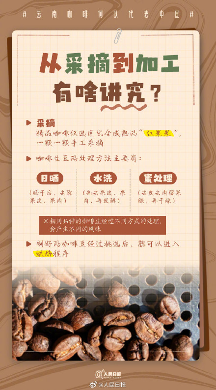 收藏了解！文化中国行遇见云南咖啡