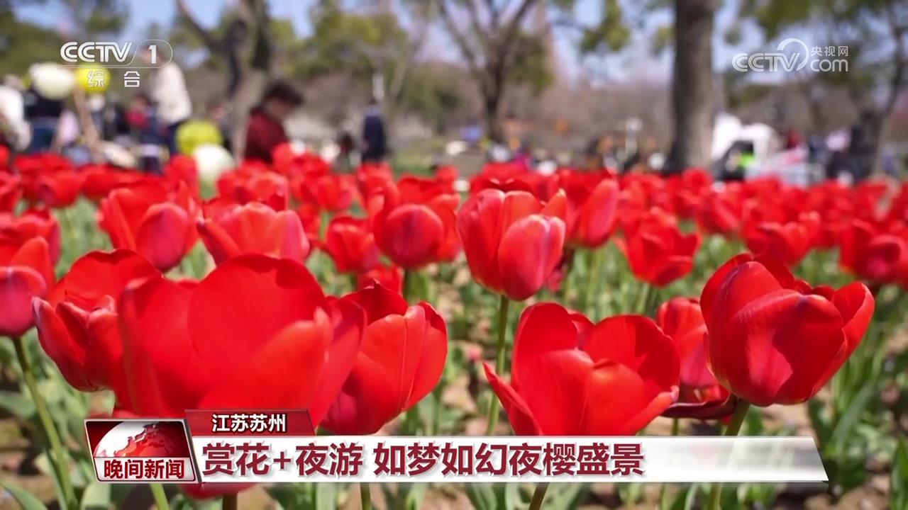 从春天出发:让“美丽产业”成“幸福产业” 从春天出发:让“美丽产业”成“幸福产业”