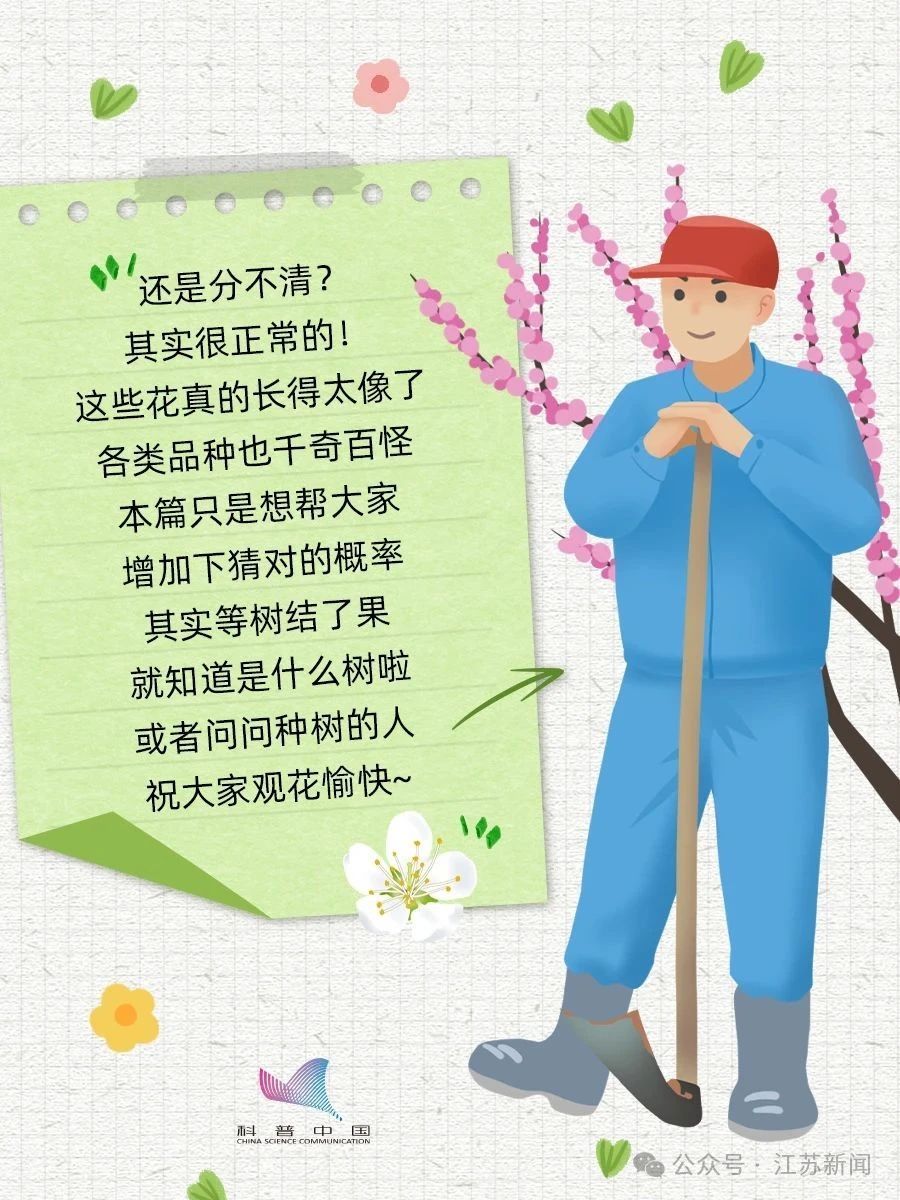 别再认错啦！桃、李、杏、樱、梅花的快速分辨秘诀，1分钟搞定！