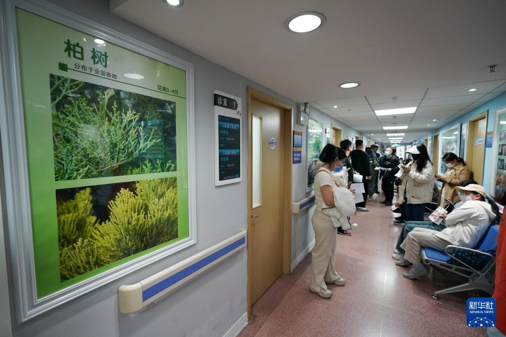 涕泪横流，都是柏树惹的“祸”？