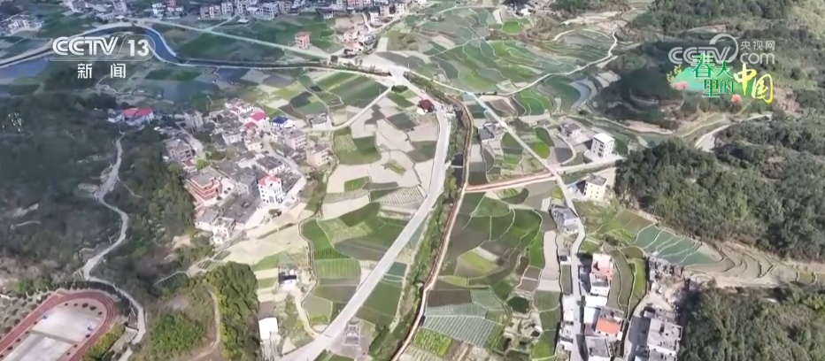 特色产业“多点开花” “小蔬菜”变身乡村振兴“致富菜” 特色产业“多点开花” “小蔬菜”变身乡村振兴“致富菜”