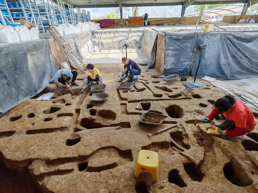 文明探源|下汤遗址:穿越新石器时代的人间烟火 文明探源|下汤遗址:穿越新石器时代的人间烟火