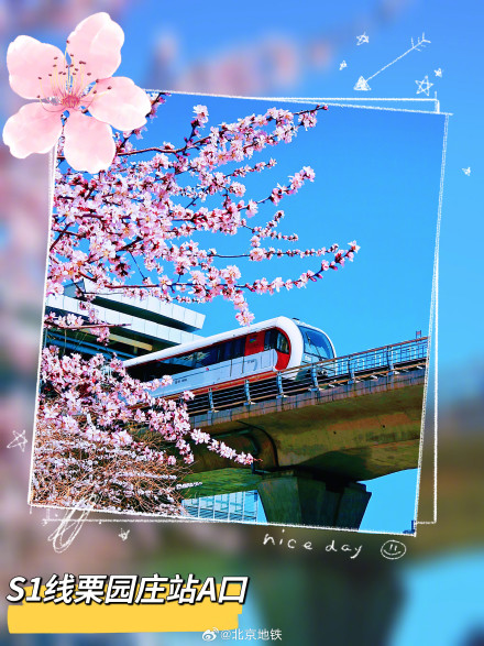 北京地铁口的春日惊喜 北京地铁口的春日惊喜