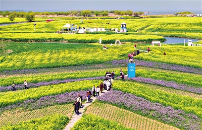 赏花踏青点燃“春日经济”