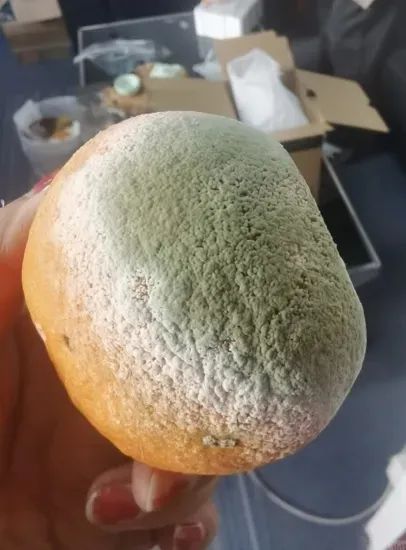 突然爆火，卖出天价！网友：早说啊！扔了好多……