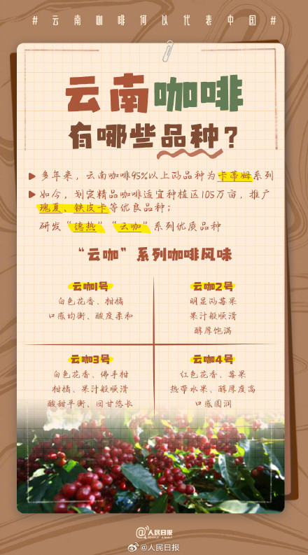 收藏了解！文化中国行遇见云南咖啡