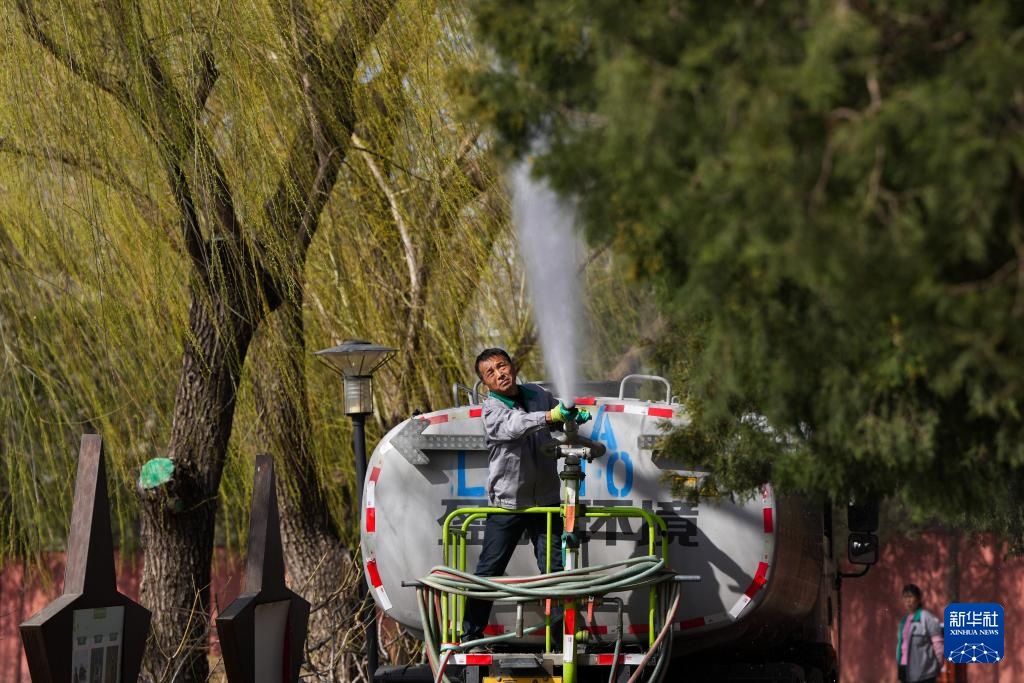 涕泪横流，都是柏树惹的“祸”？