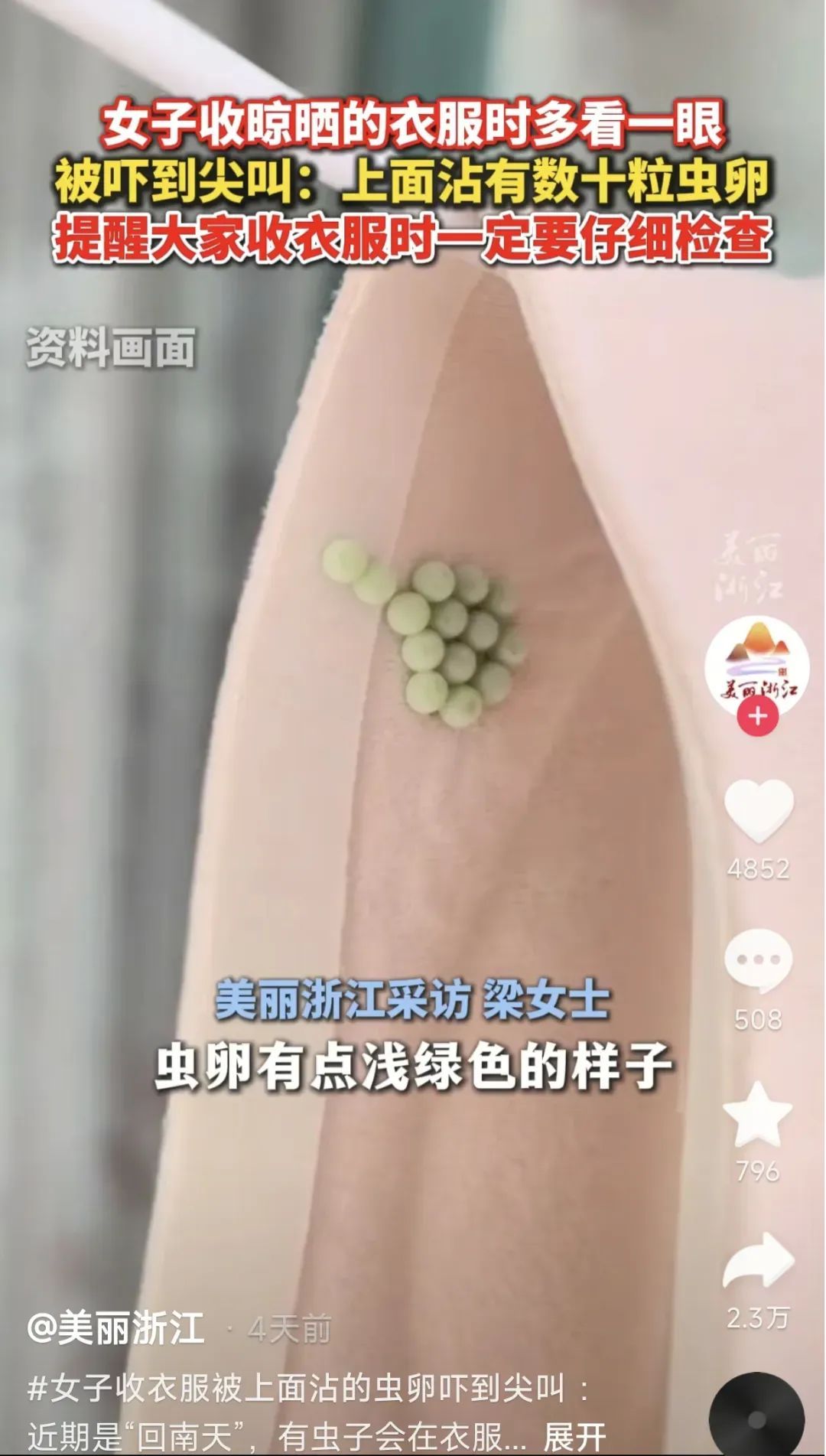 收衣服时吓一跳！网友提醒：一定要注意！