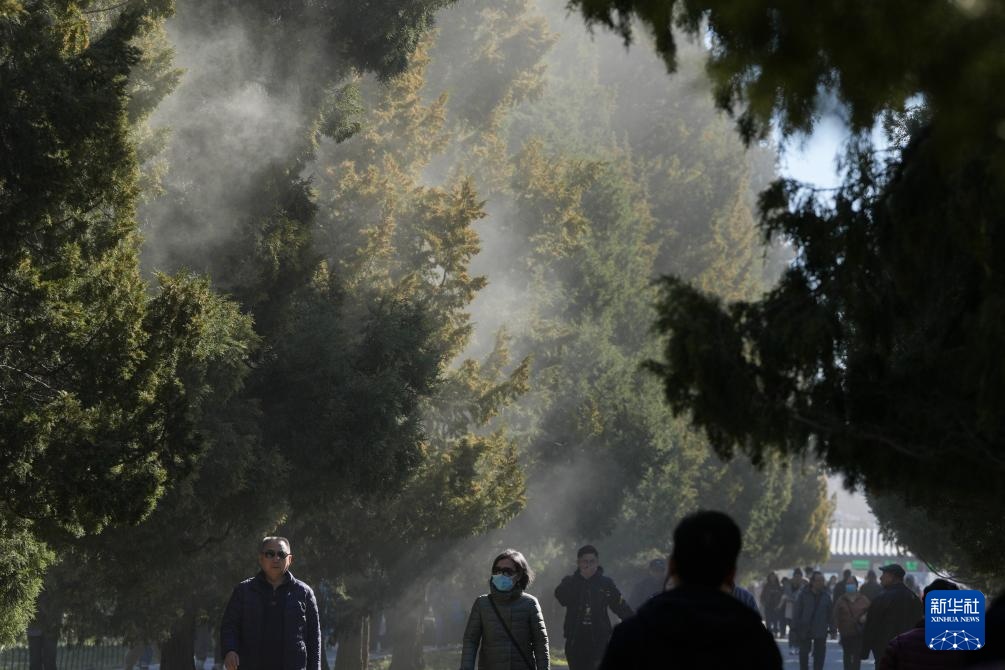 涕泪横流，都是柏树惹的“祸”？