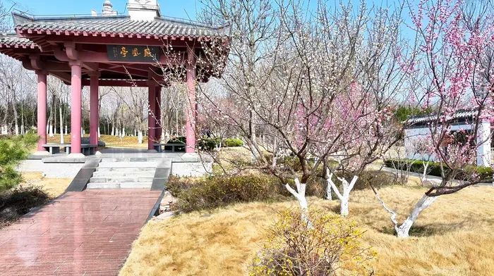 别被高温骗了！下周济南天气“变脸”，棉袄可能还得返场