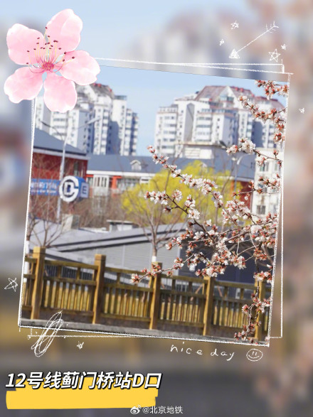 北京地铁口的春日惊喜 北京地铁口的春日惊喜