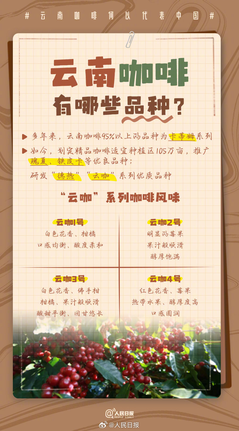 云南，“咖”位十足