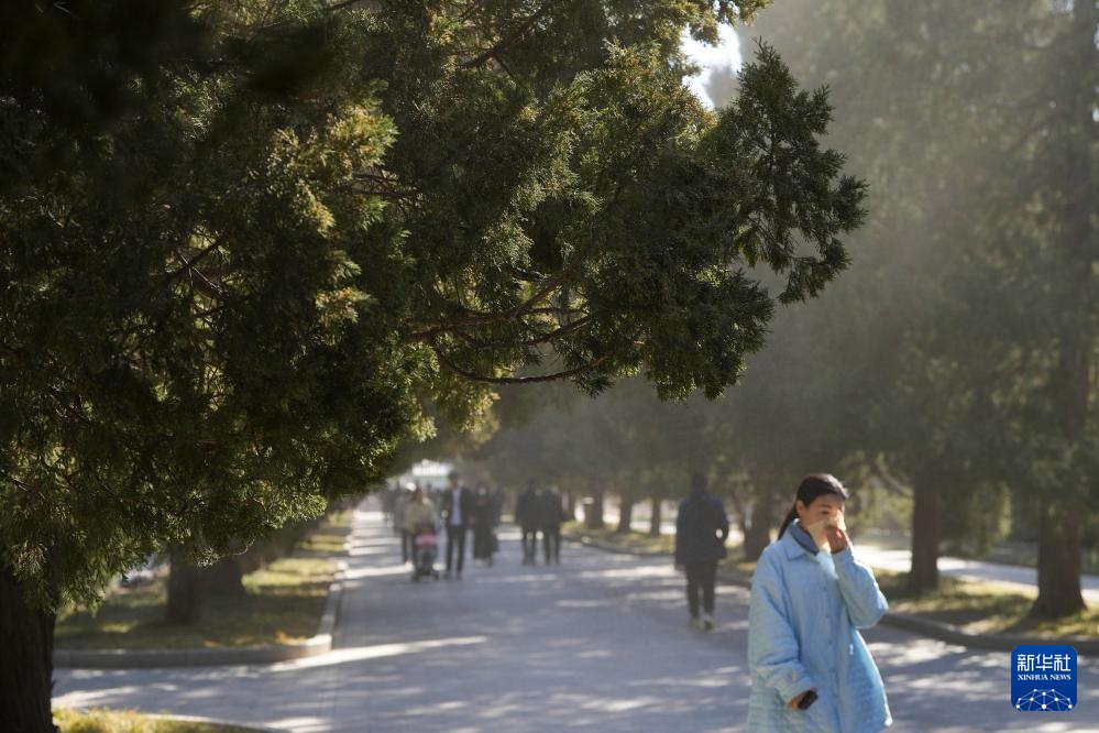 涕泪横流，都是柏树惹的“祸”？