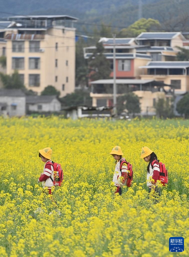 可爱的乡村——春和景明人亦勤