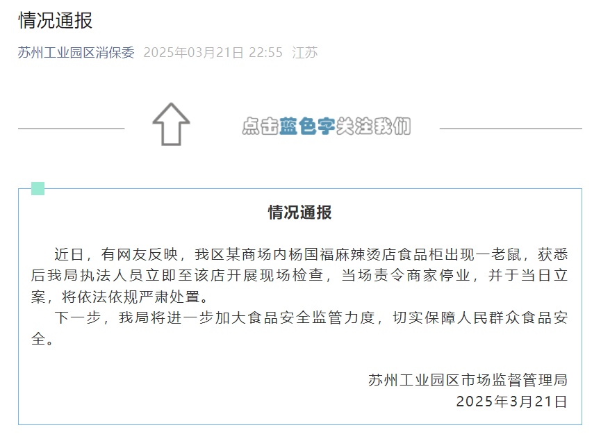 杨国福麻辣烫，被立案调查