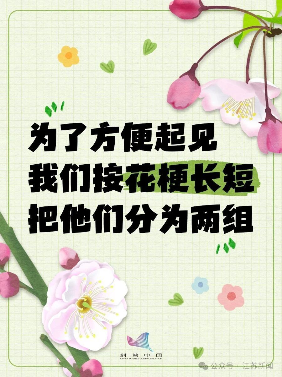 别再认错啦！桃、李、杏、樱、梅花的快速分辨秘诀，1分钟搞定！