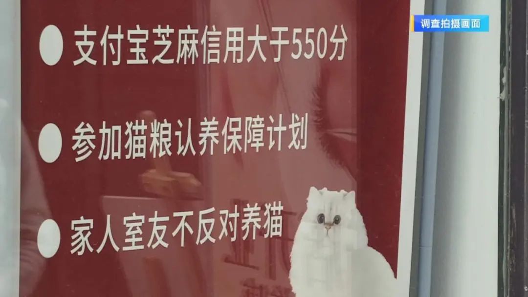 “免费领养宠物”真的不花钱吗？小心这些“坑”！律师提醒→