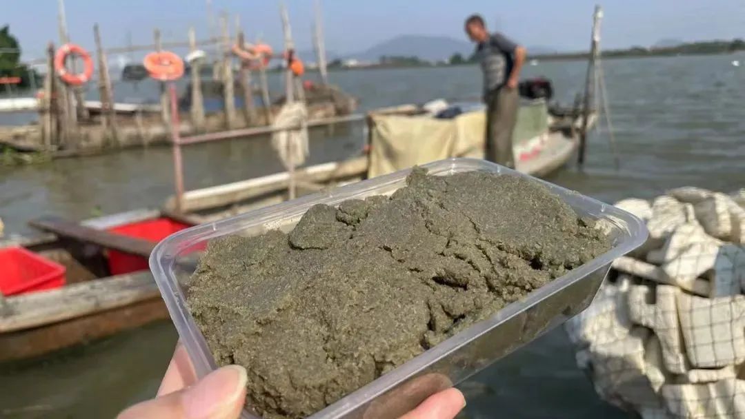 最近流行吃"水泥"？88块钱一斤！网友震惊：黑暗料理
