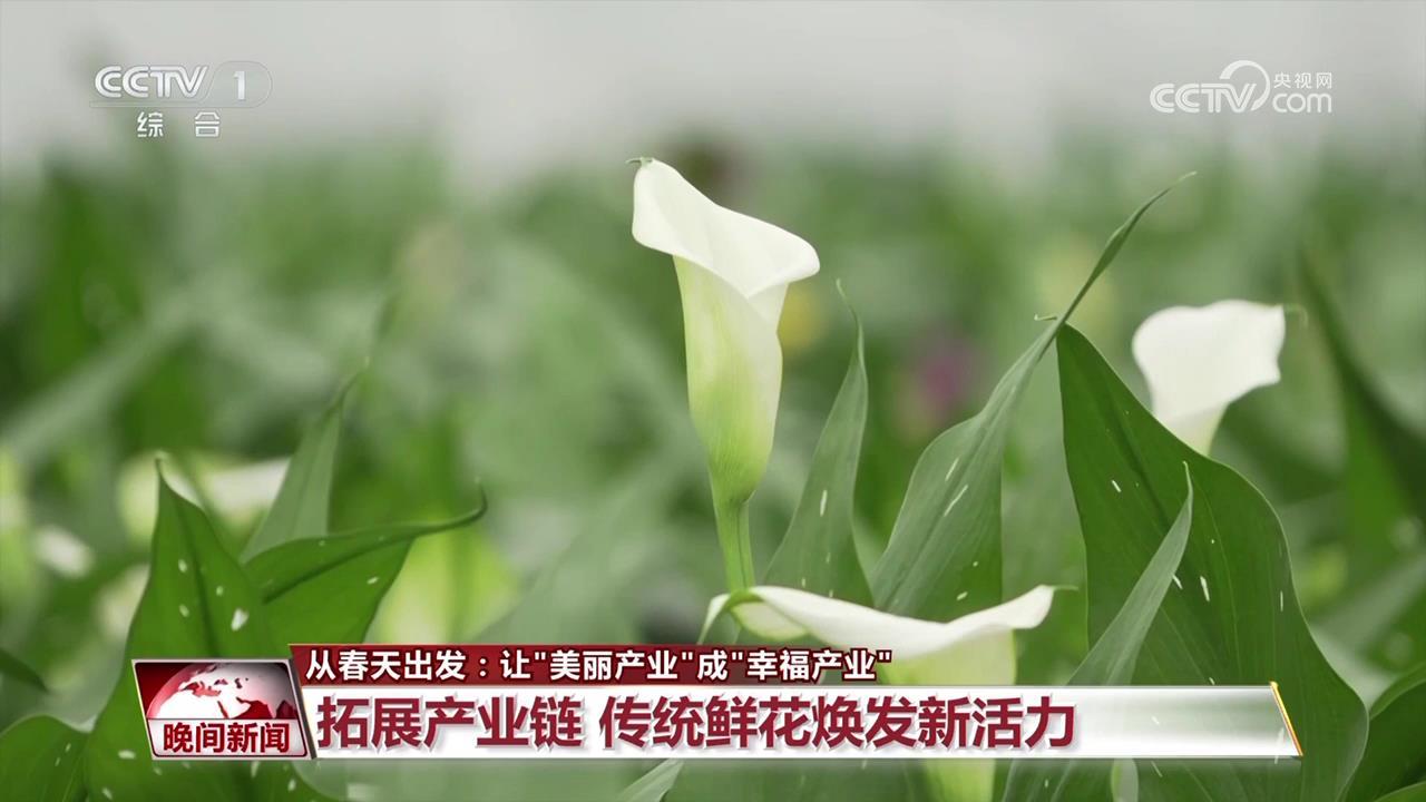 从春天出发:让“美丽产业”成“幸福产业” 从春天出发:让“美丽产业”成“幸福产业”