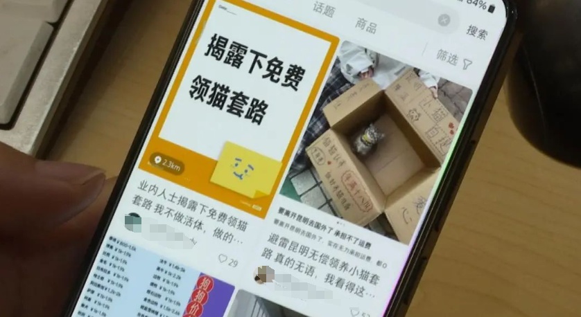 “免费领养宠物”真的不花钱吗？小心这些“坑”！律师提醒→