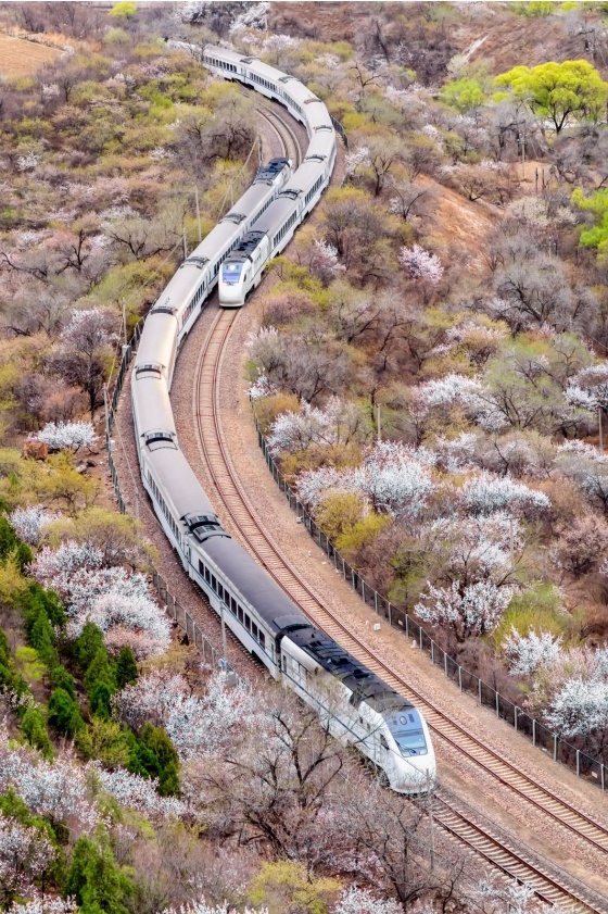 最高28℃！北京一夜入夏？下周寒潮携“换季式”降温来袭