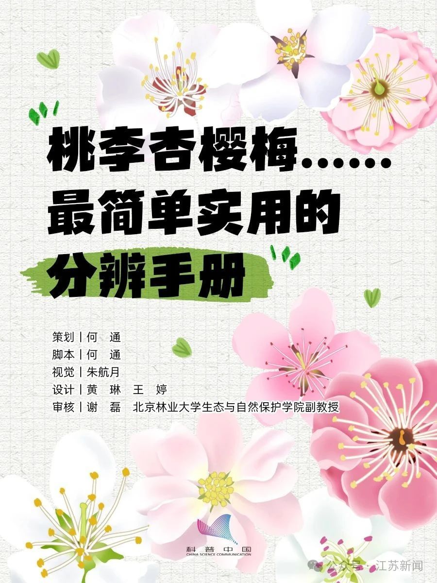 别再认错啦！桃、李、杏、樱、梅花的快速分辨秘诀，1分钟搞定！