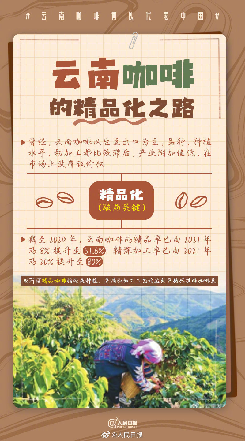 云南，“咖”位十足