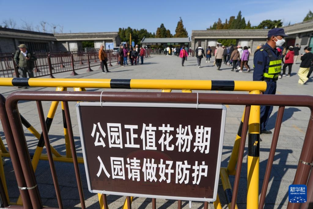 涕泪横流，都是柏树惹的“祸”？