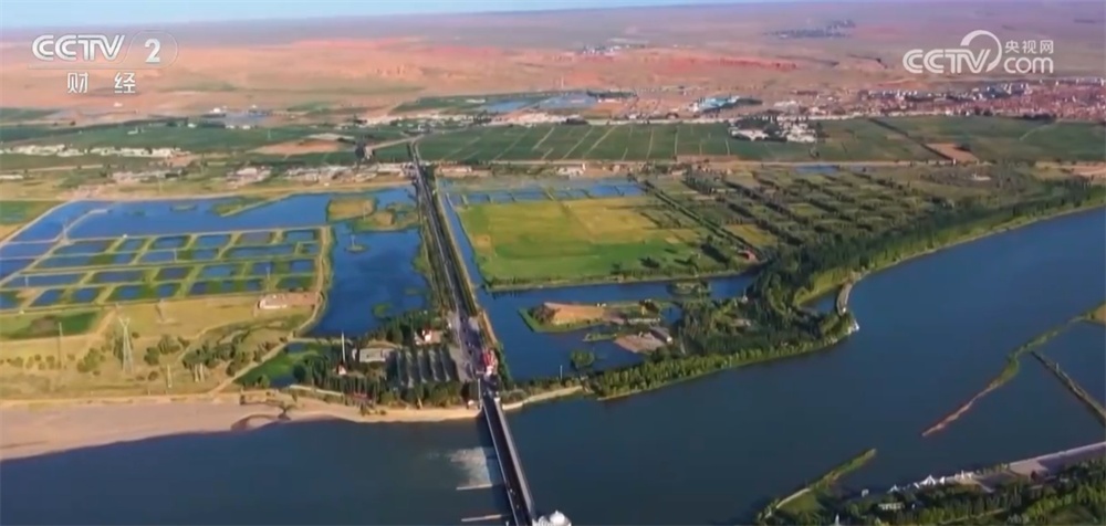 全国冬小麦苗情好于常年 神州大地“丰”景可期