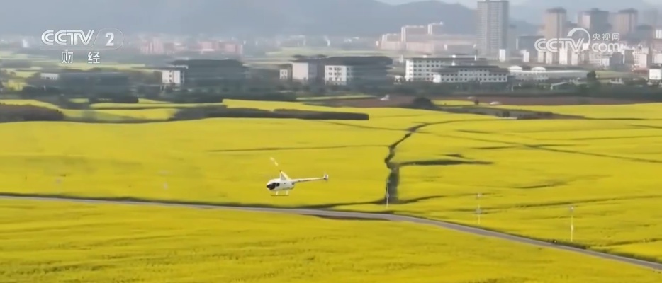 从“春日限定”到“四季长青” “花”文旅融合为乡村振兴“增色添香”