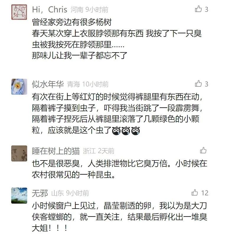 头皮发麻!女子被吓到尖叫…最近又到高峰期!很多人"中招",紧急提醒 头皮发麻!女子被吓到尖叫…最近又到高峰期!很多人"中招",紧急提醒