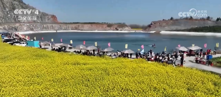 鲜花争艳催热“美丽经济” 多地赏花游带动“春日经济”欣欣向荣 鲜花争艳催热“美丽经济” 多地赏花游带动“春日经济”欣欣向荣