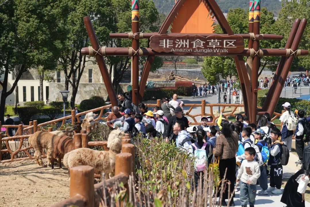无锡动物园新晋顶流，来了！